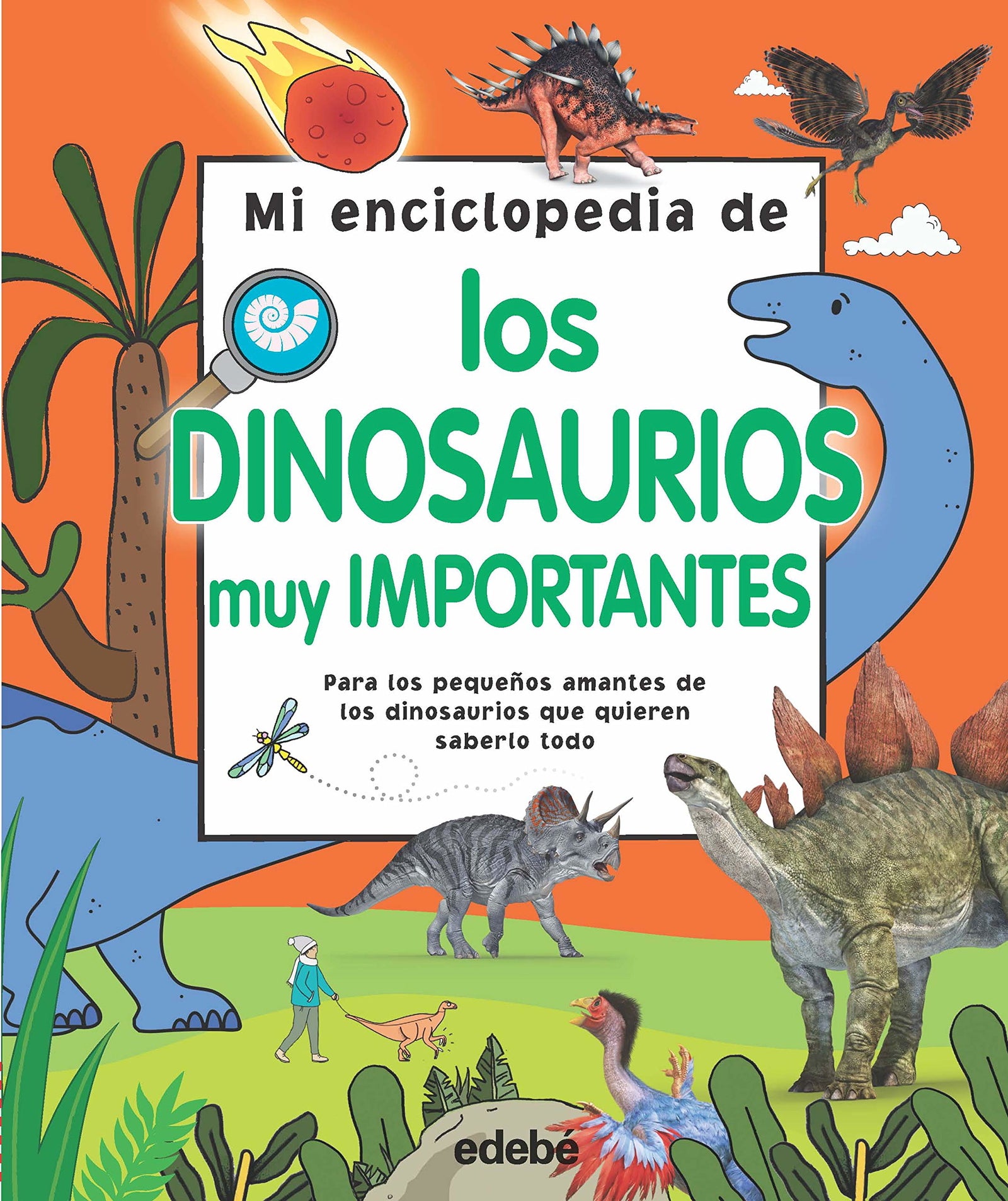 Mi Enciclopedia De Los Dinosaurios Muy Importantes (ENCICLOPEDIAS, ATLAS Y DICCIONARIOS)